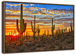 Sunset Cactus Wall Art