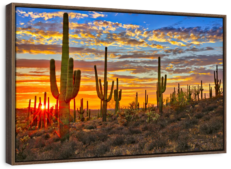 Sunset Cactus Wall Art