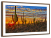 Sunset Cactus Wall Art