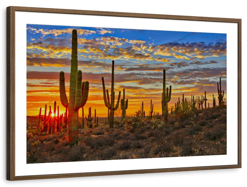 Sunset Cactus Wall Art