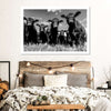 Monochrome Angus Cows Wall Art