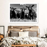 Monochrome Angus Cows Wall Art