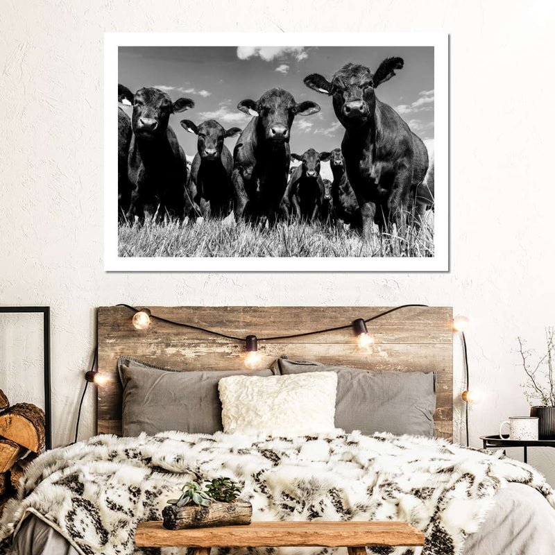 Monochrome Angus Cows Wall Art