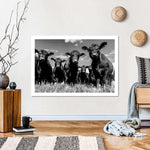 Monochrome Angus Cows Wall Art