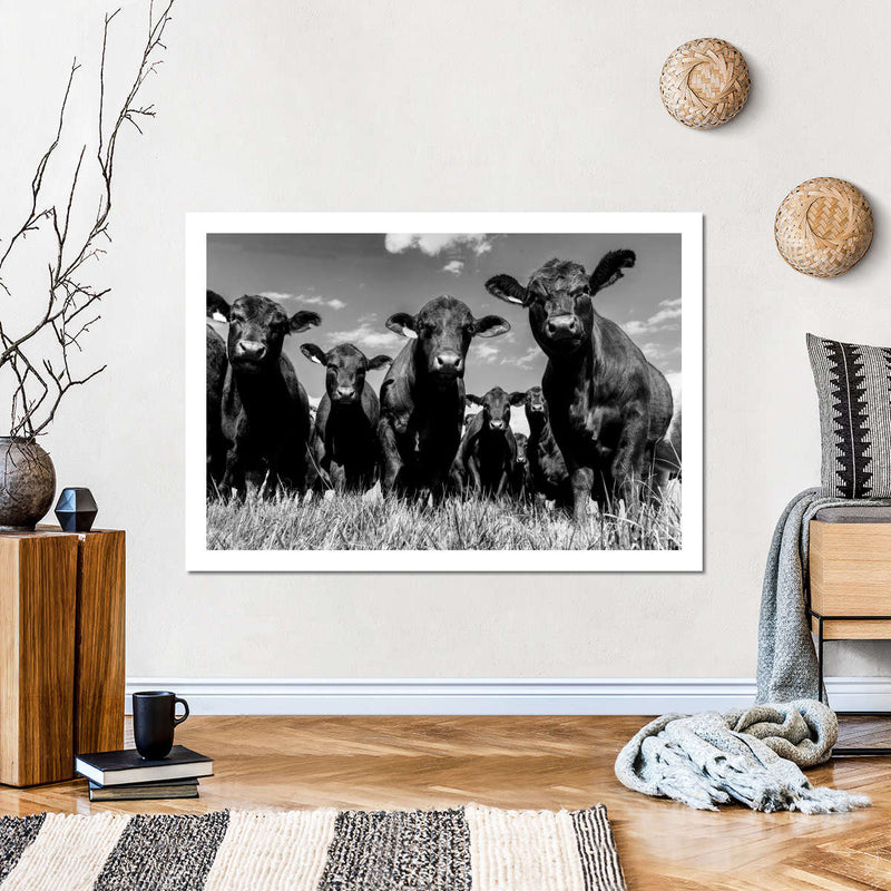 Monochrome Angus Cows Wall Art