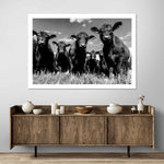 Monochrome Angus Cows Wall Art