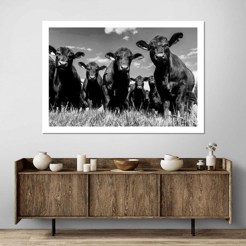 Monochrome Angus Cows Wall Art