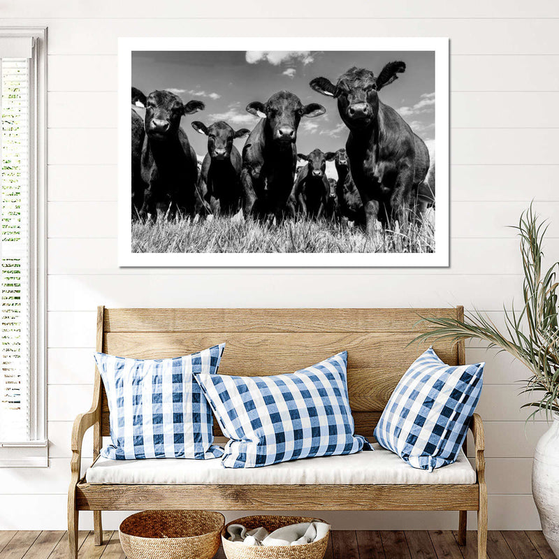 Monochrome Angus Cows Wall Art