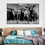 Monochrome Angus Cows Wall Art