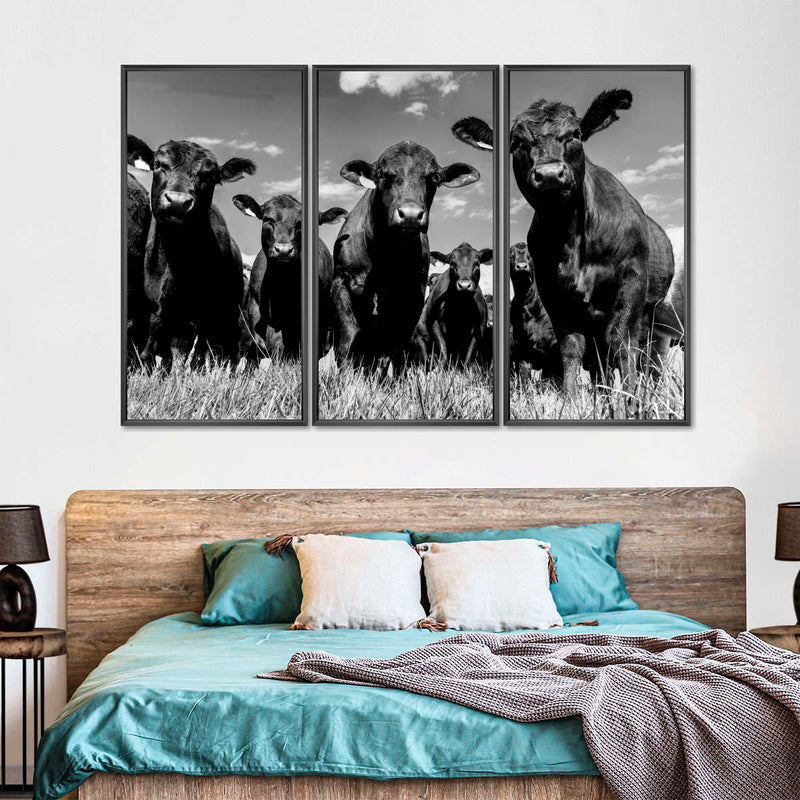 Monochrome Angus Cows Wall Art