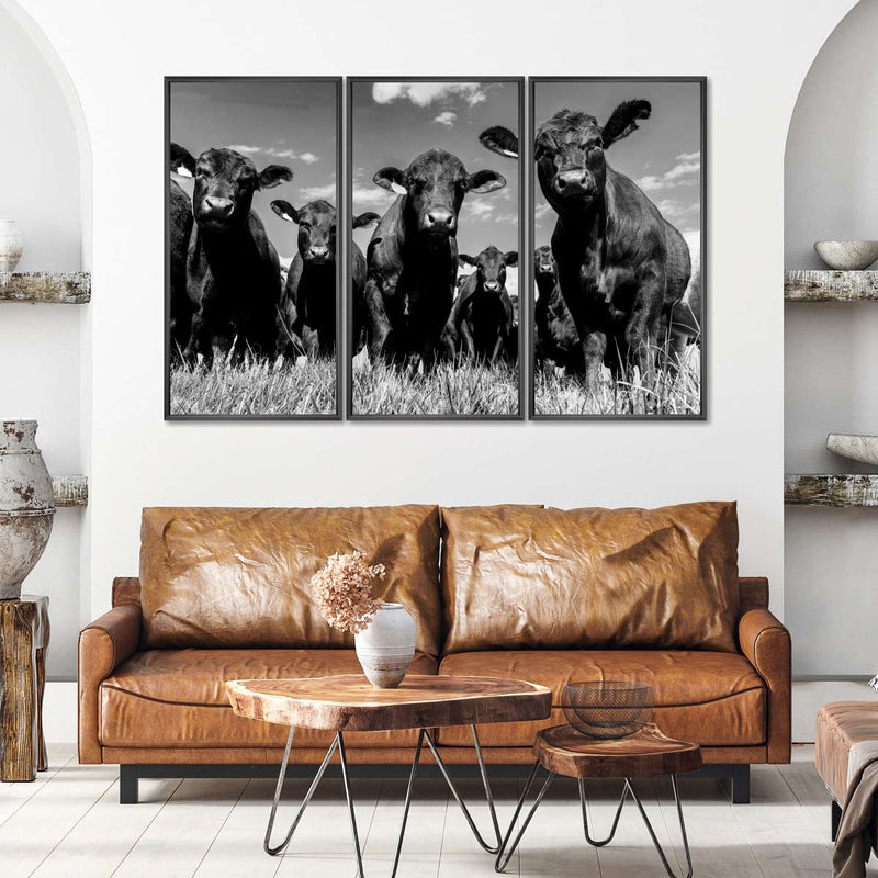 Monochrome Angus Cows Wall Art