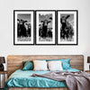 Monochrome Angus Cows Wall Art