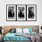 Monochrome Angus Cows Wall Art
