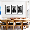Monochrome Angus Cows Wall Art