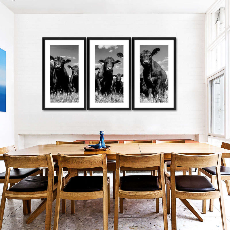 Monochrome Angus Cows Wall Art