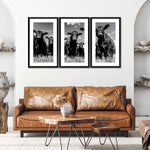 Monochrome Angus Cows Wall Art