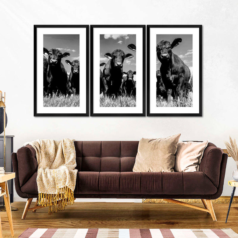 Monochrome Angus Cows Wall Art