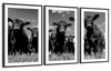 Monochrome Angus Cows Wall Art