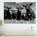 Monochrome Angus Cows Wall Art