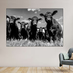 Monochrome Angus Cows Wall Art