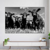 Monochrome Angus Cows Wall Art