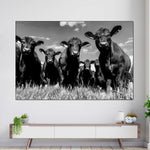 Monochrome Angus Cows Wall Art