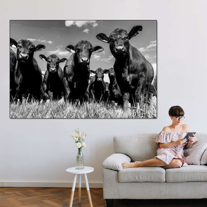 Monochrome Angus Cows Wall Art