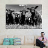 Monochrome Angus Cows Wall Art