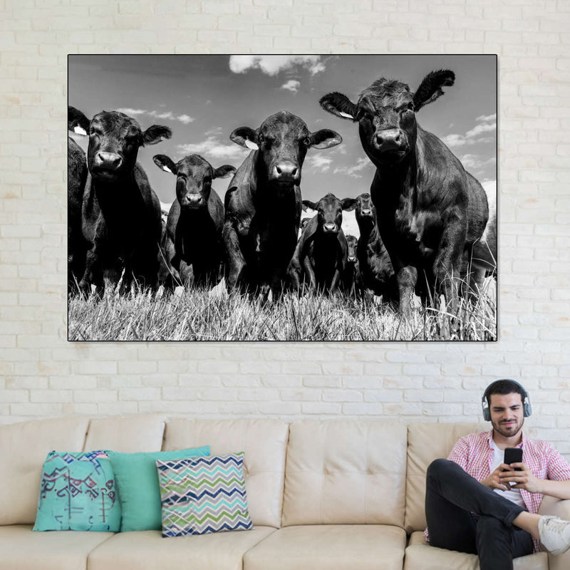 Monochrome Angus Cows Wall Art