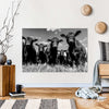 Monochrome Angus Cows Wall Art