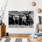 Monochrome Angus Cows Wall Art