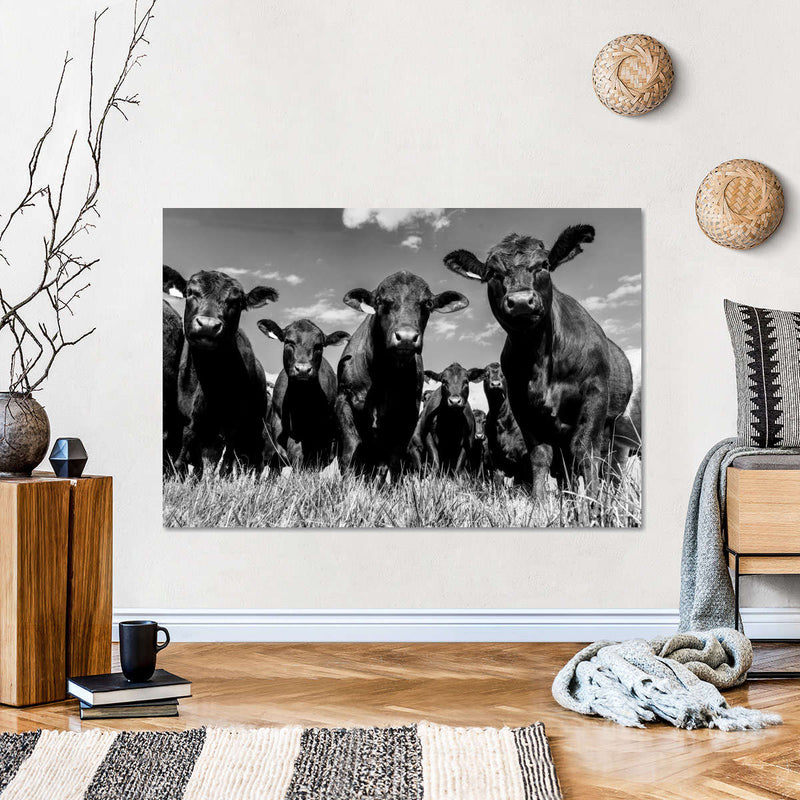 Monochrome Angus Cows Wall Art