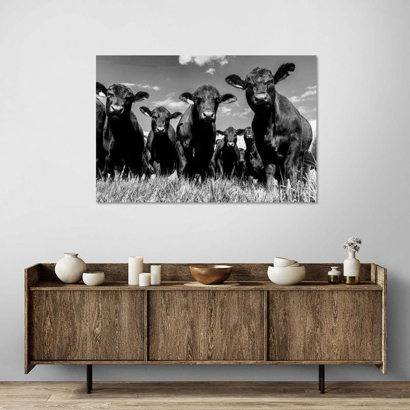 Monochrome Angus Cows Wall Art