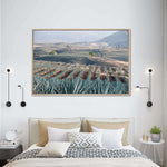 Tequila Jalisco Agave Field Wall Art