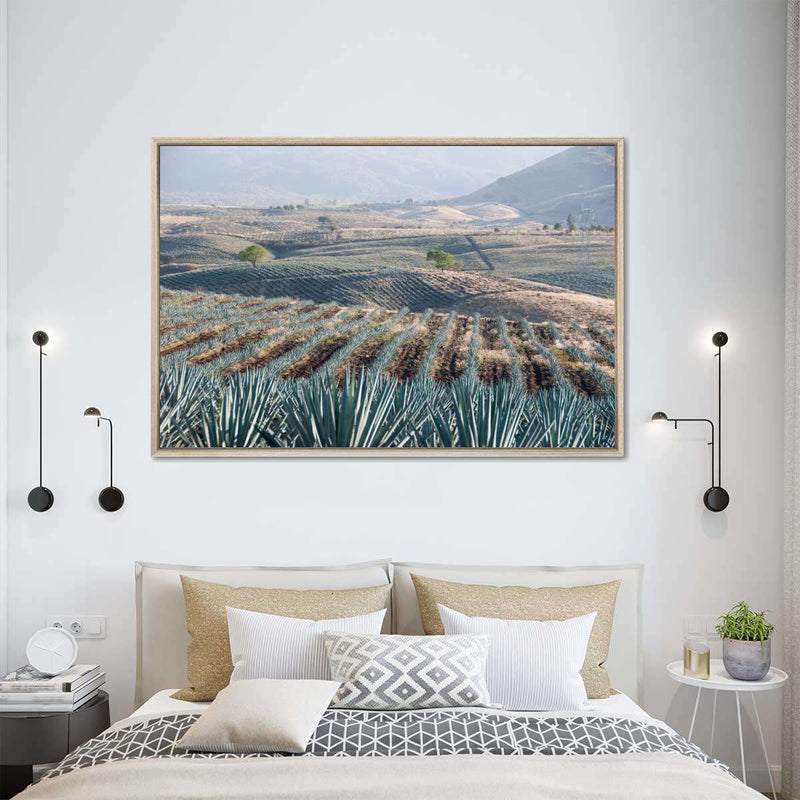 Tequila Jalisco Agave Field Wall Art