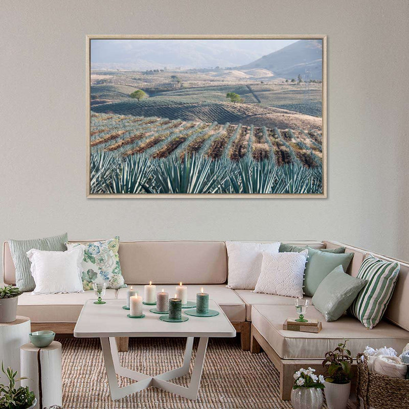 Tequila Jalisco Agave Field Wall Art