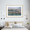 Tequila Jalisco Agave Field Wall Art