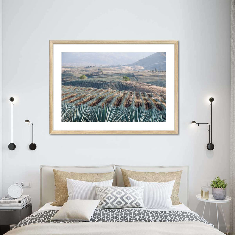 Tequila Jalisco Agave Field Wall Art