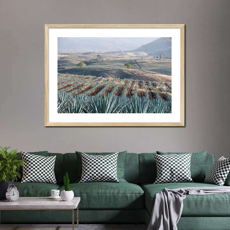 Tequila Jalisco Agave Field Wall Art