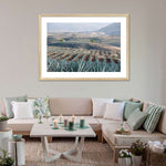 Tequila Jalisco Agave Field Wall Art