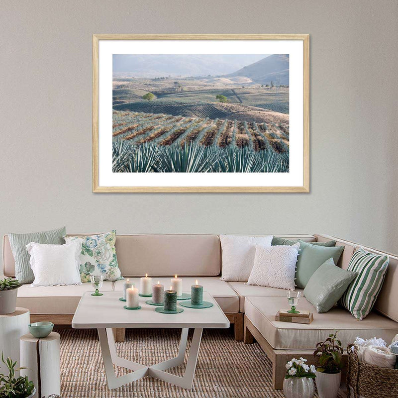 Tequila Jalisco Agave Field Wall Art