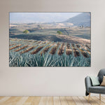 Tequila Jalisco Agave Field Wall Art