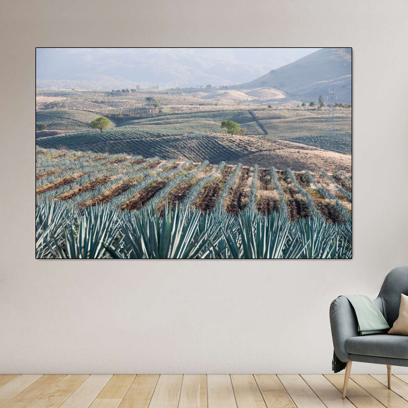 Tequila Jalisco Agave Field Wall Art
