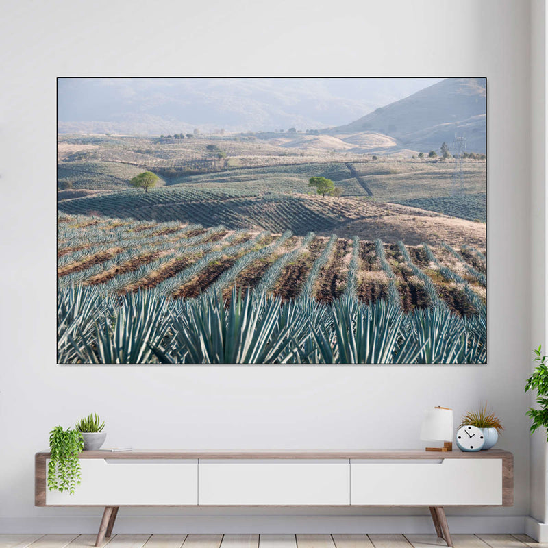 Tequila Jalisco Agave Field Wall Art