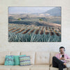 Tequila Jalisco Agave Field Wall Art