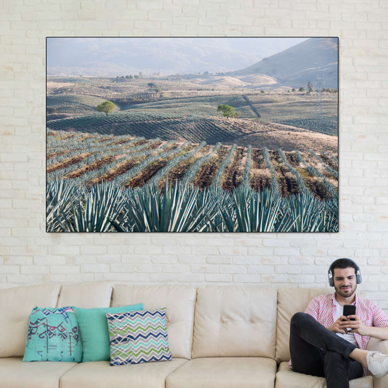Tequila Jalisco Agave Field Wall Art