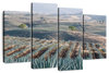 Tequila Jalisco Agave Field Wall Art