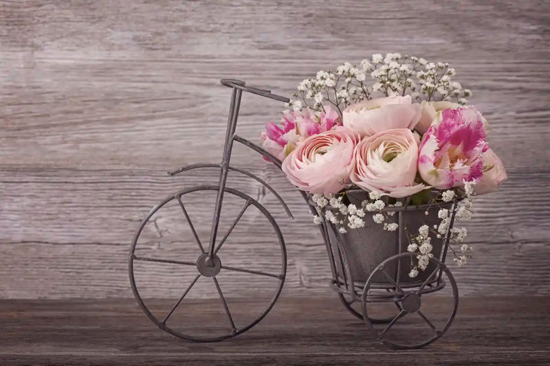 Ranunculus Bicycle Vase Wall Art