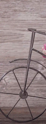 Ranunculus Bicycle Vase Wall Art