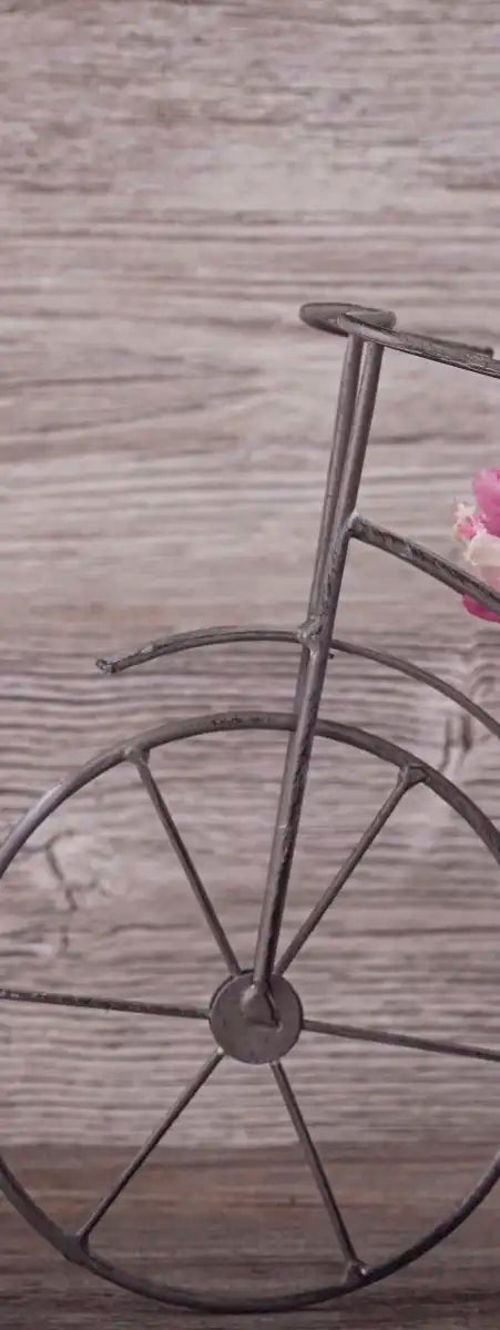 Ranunculus Bicycle Vase Wall Art